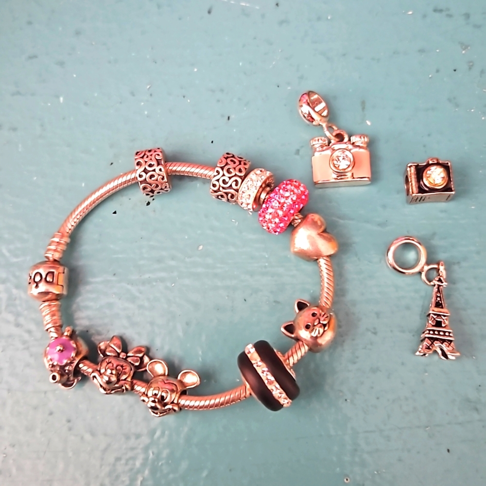 Pandora Bracelet with Charms